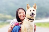 中华田园犬：我们美好回忆的守护者，应受到人类的温柔对待