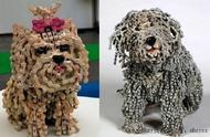 以色列艺术家的狗狗艺术升级版